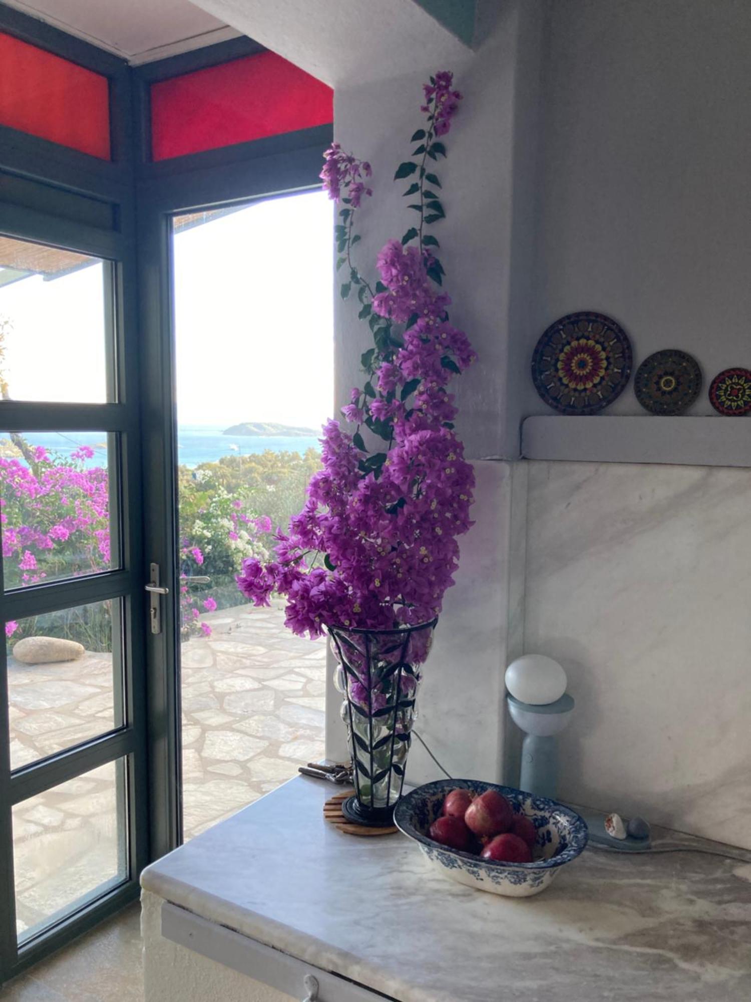 Villa Tierra Skiathos-Stadt Exterior foto