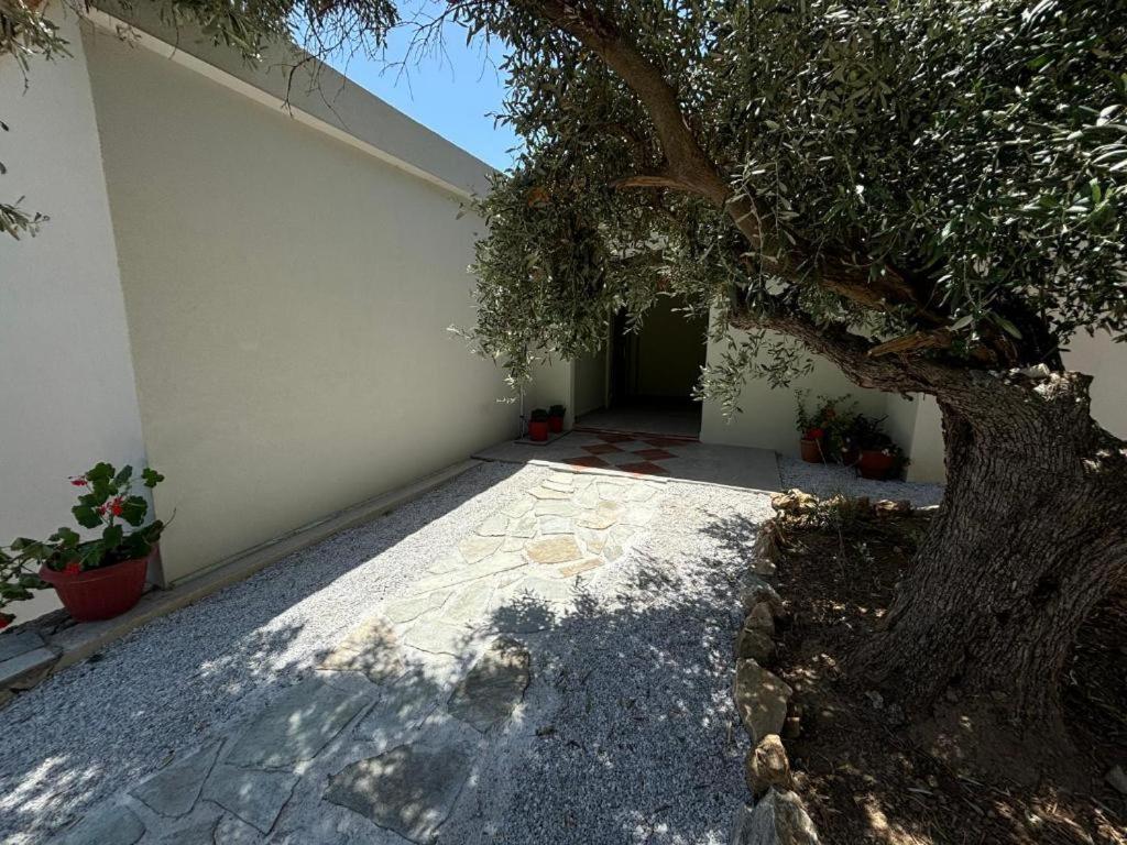 Villa Tierra Skiathos-Stadt Exterior foto
