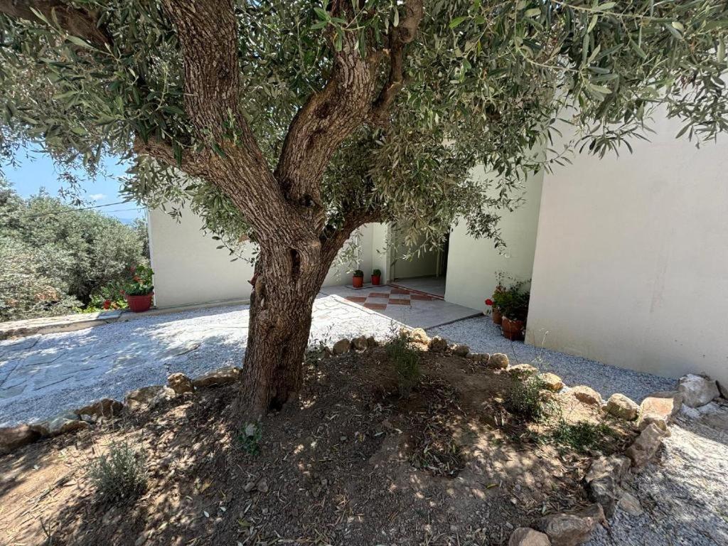 Villa Tierra Skiathos-Stadt Exterior foto
